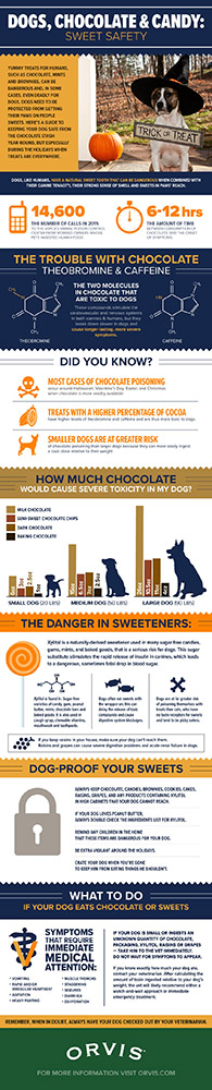 Dogs and candy infographic