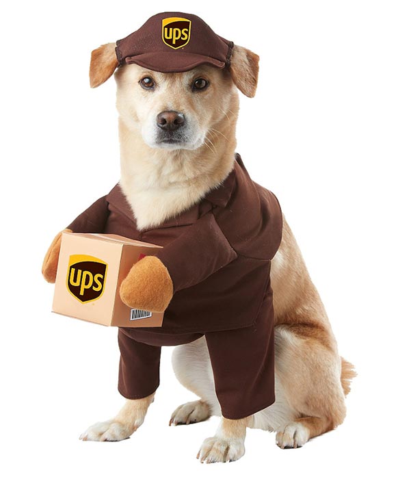 UPS Dog Costume